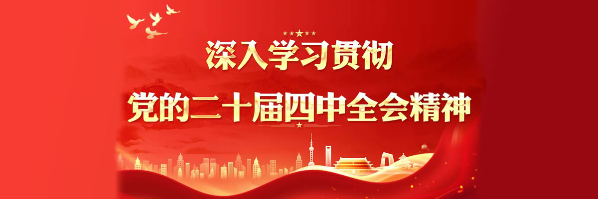 学习贯彻四中全会精神专题网站