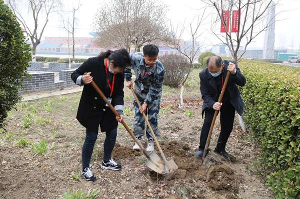春风十里，不及一抹绿影——经济学院师生积极开展植树活动