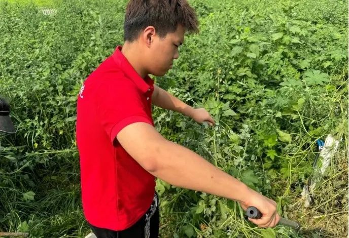 社会实践(十六)勇担时代使命,助力兴村振兴——保定理工学院经济学院“三下乡”社会实践