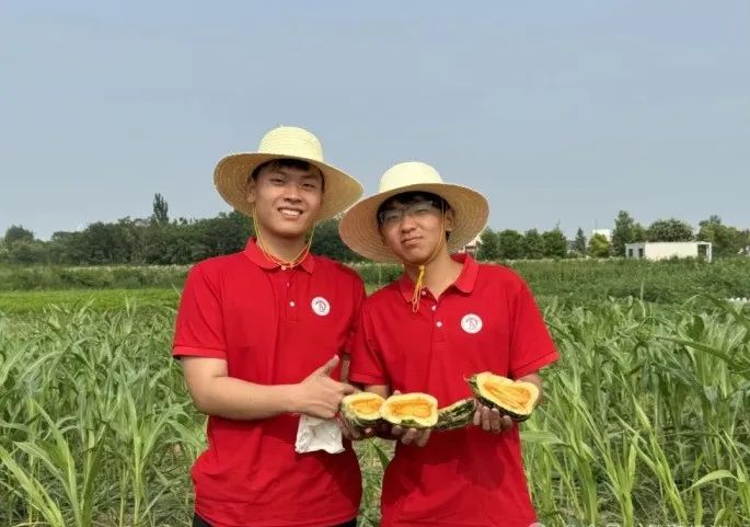 社会实践(十六)勇担时代使命,助力兴村振兴——保定理工学院经济学院“三下乡”社会实践