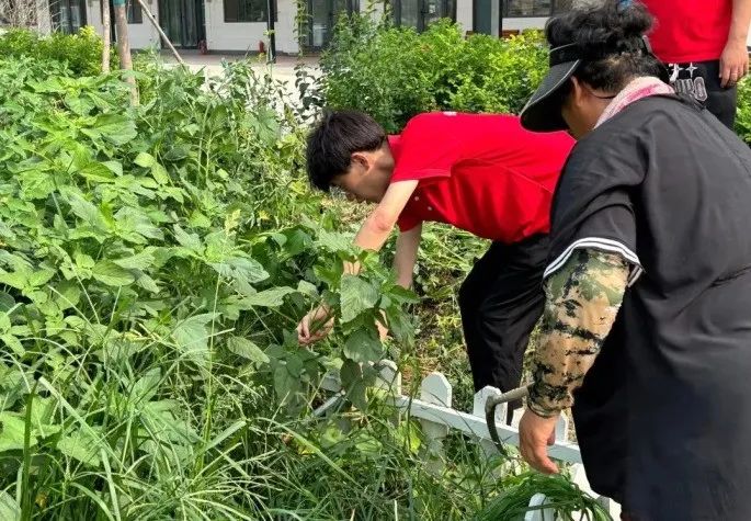 社会实践(十六)勇担时代使命,助力兴村振兴——保定理工学院经济学院“三下乡”社会实践