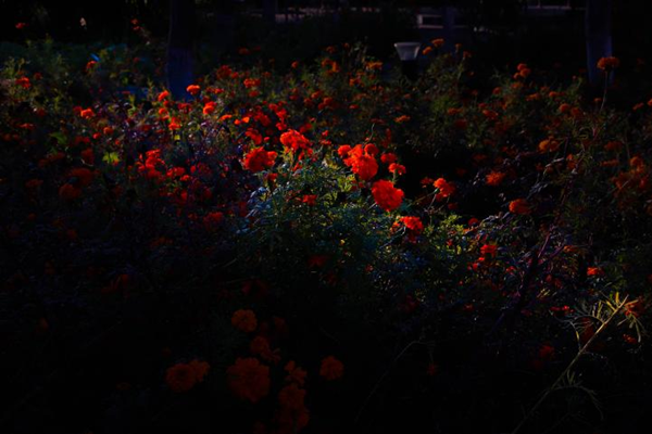 美育|保定理工学院|管理学院|“拾秋入镜 定格斑斓”秋季摄影大赛结果公示