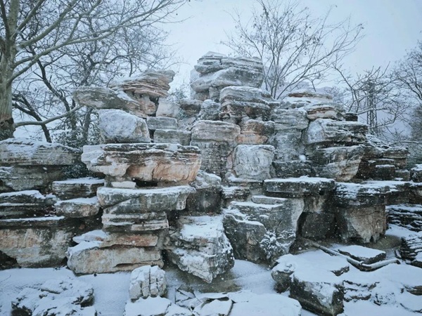 寒假限定！保理的初雪，把浪漫寄给返乡的你
