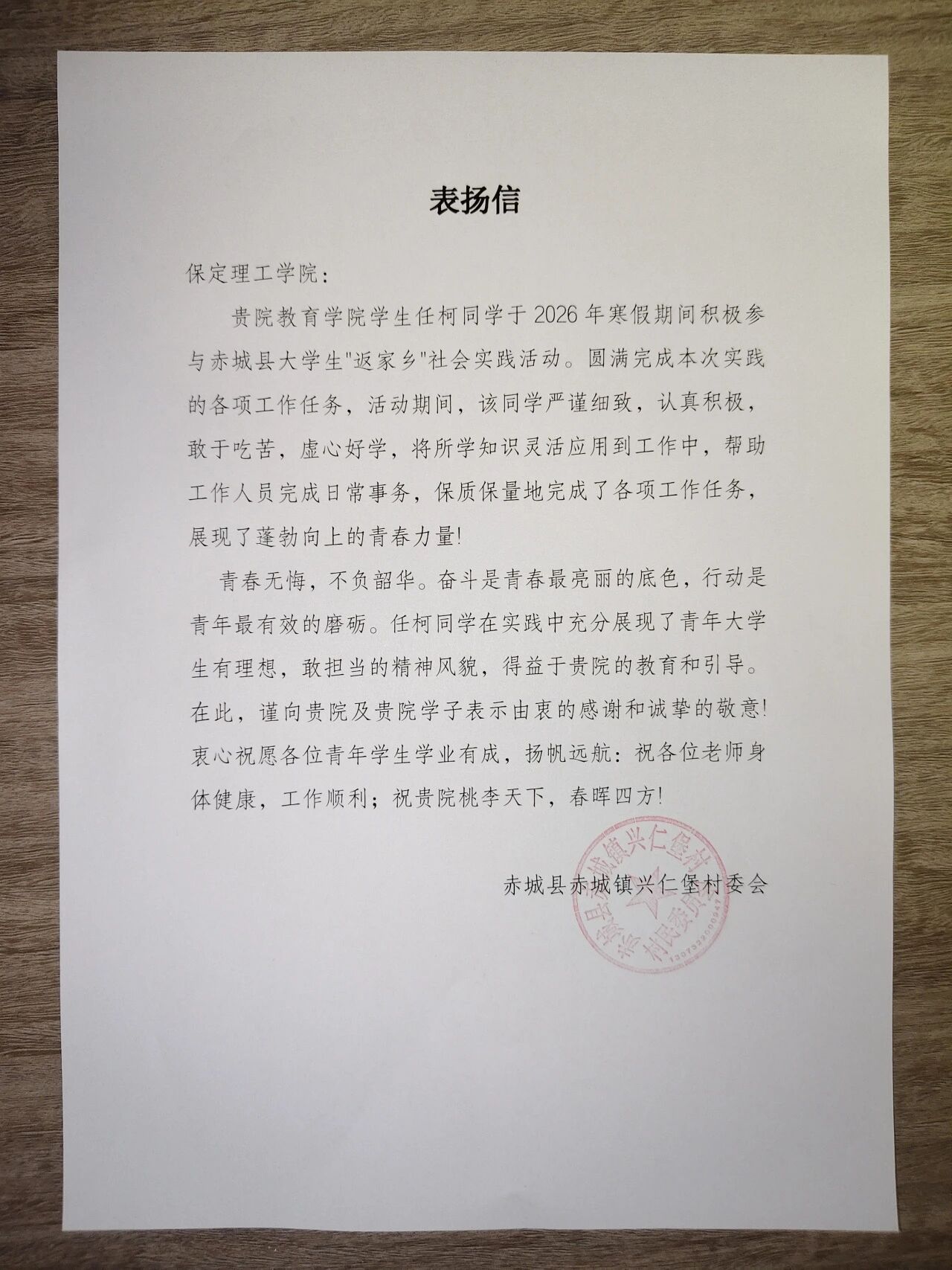 寒假返家乡，青春正当时｜教育学子以实践绘就家乡“新颜”