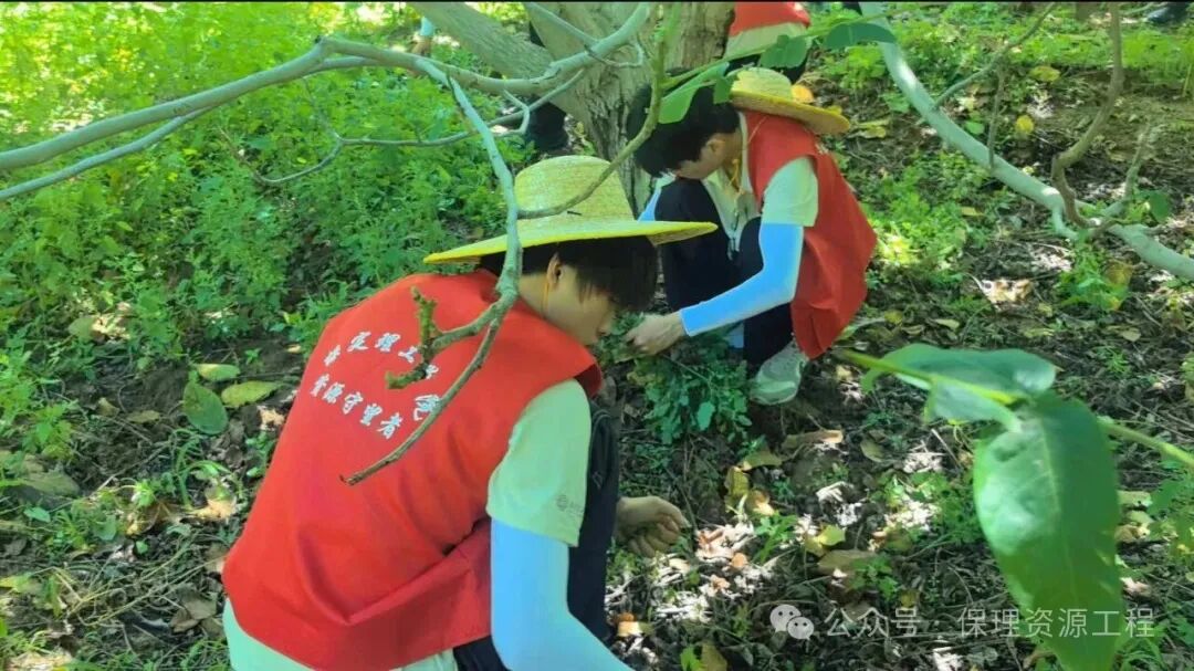 三下乡助农调研，赋能特色产业提质增效&nbsp;|&nbsp;志