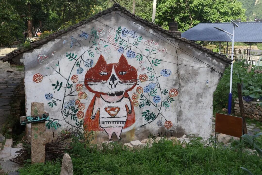 以青春创意盘活古村！校地共建助力猫村走上艺术振兴路