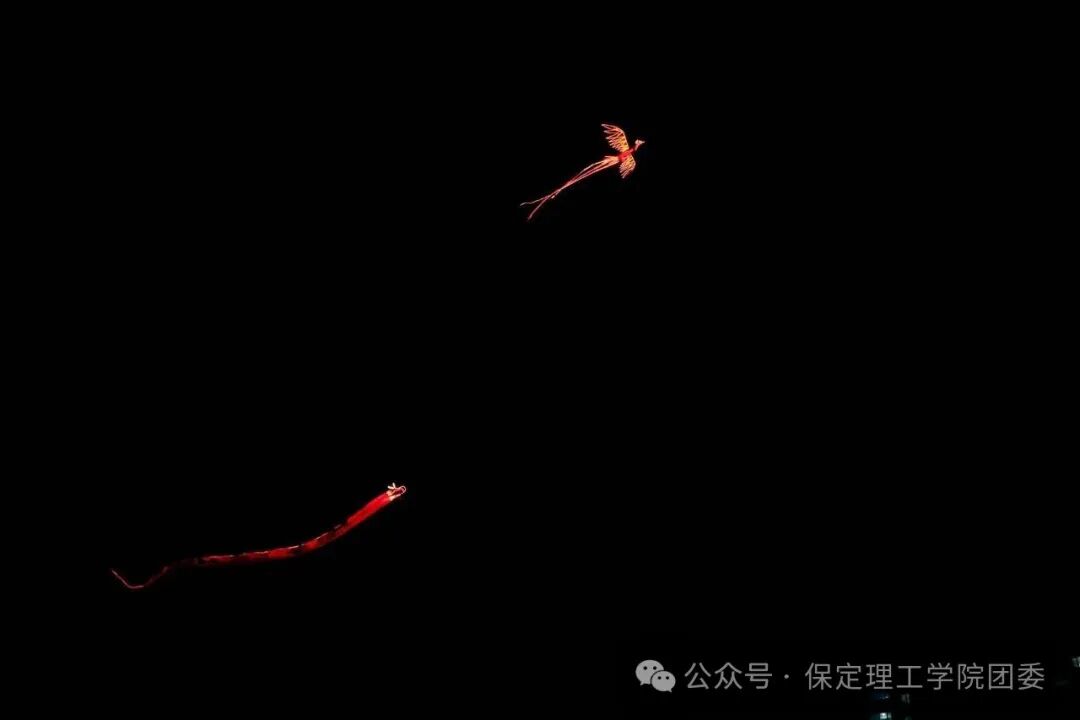 保定理工学院2026年迎新晚会圆满落幕